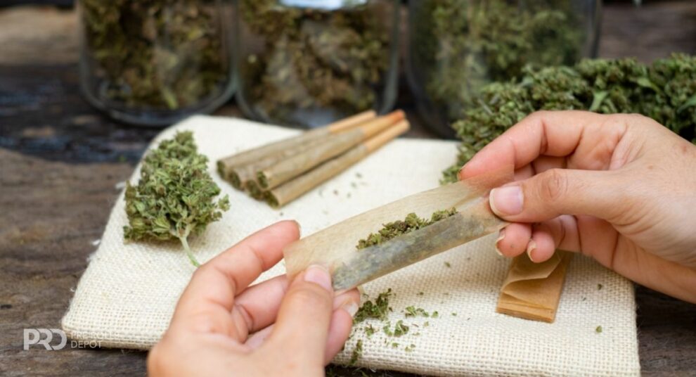 Environmental-Impact-of-Pre-Rolled-Cones-990×536